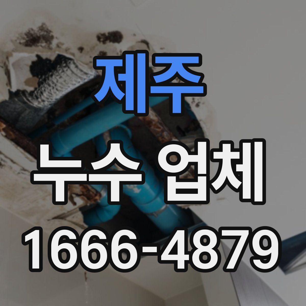 제주 누수 업체