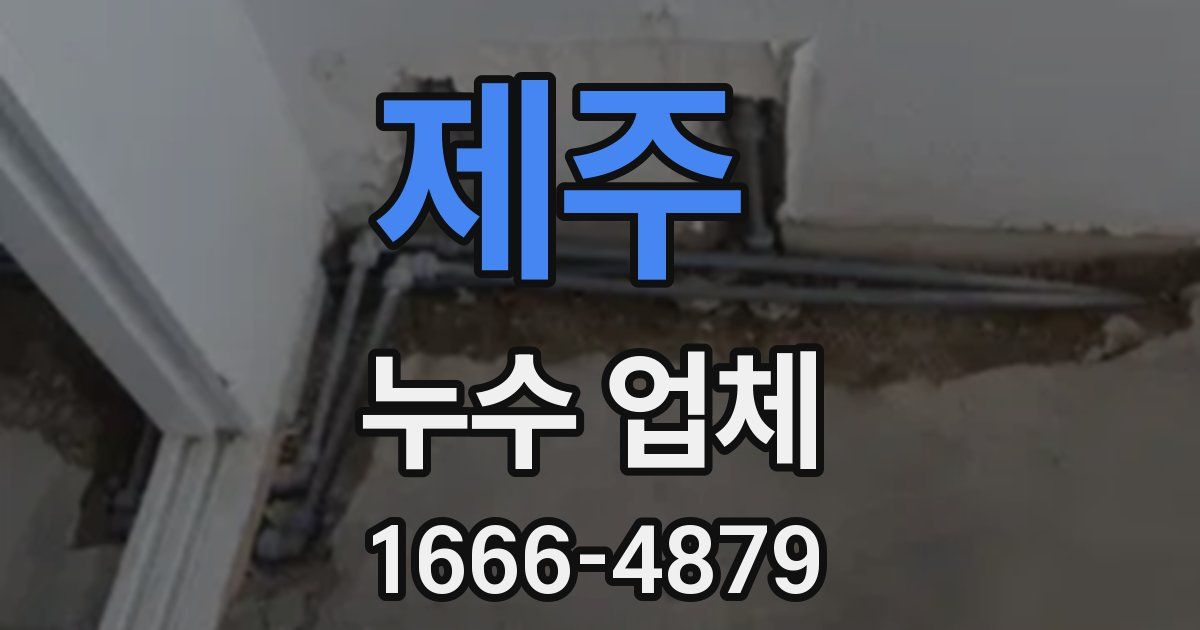 제주 누수 업체