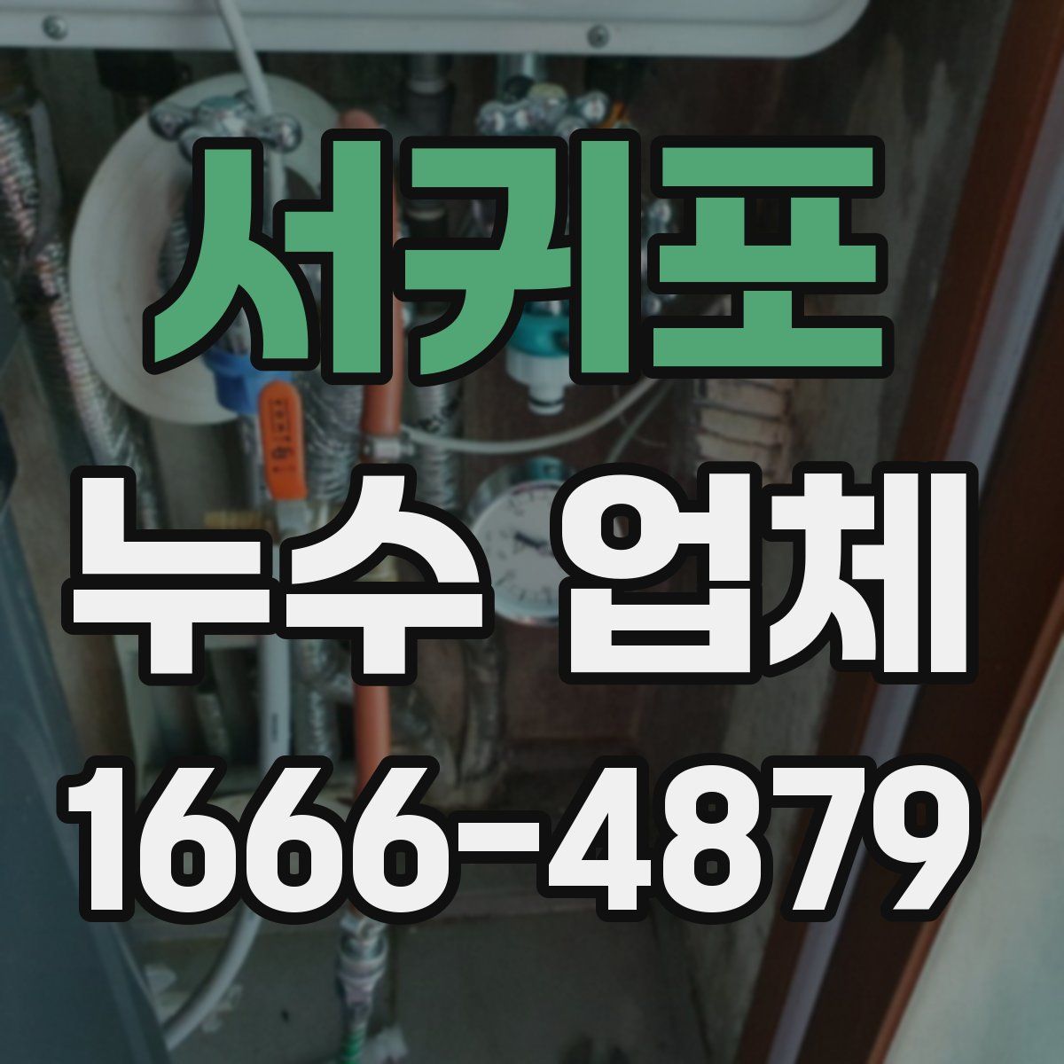 서귀포 누수 업체