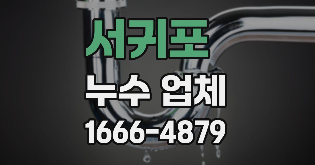 서귀포 누수 업체