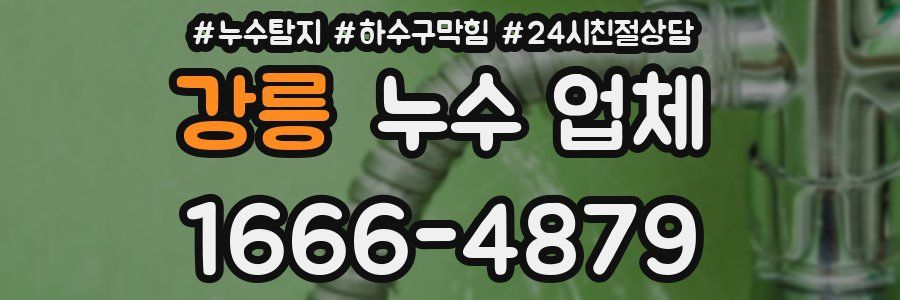 강릉 누수 업체