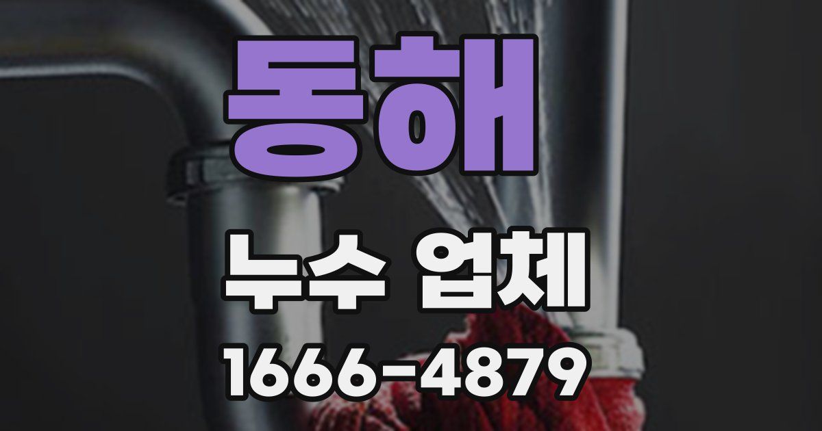 동해 누수 업체