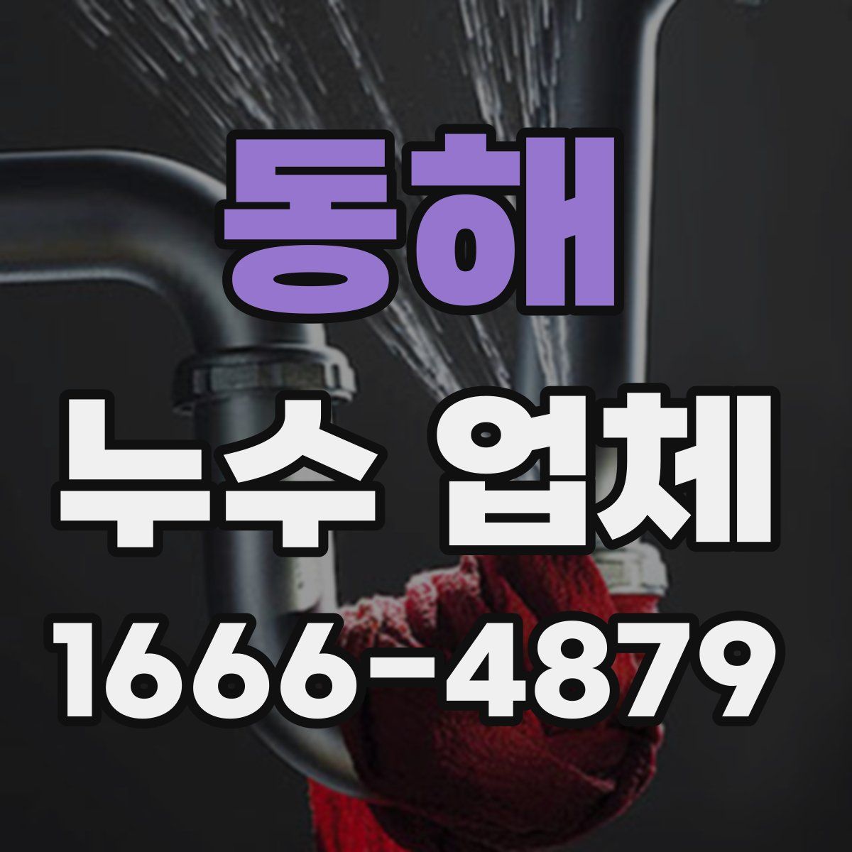 동해 누수 업체