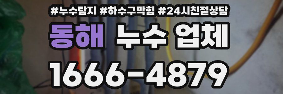 동해 누수 업체