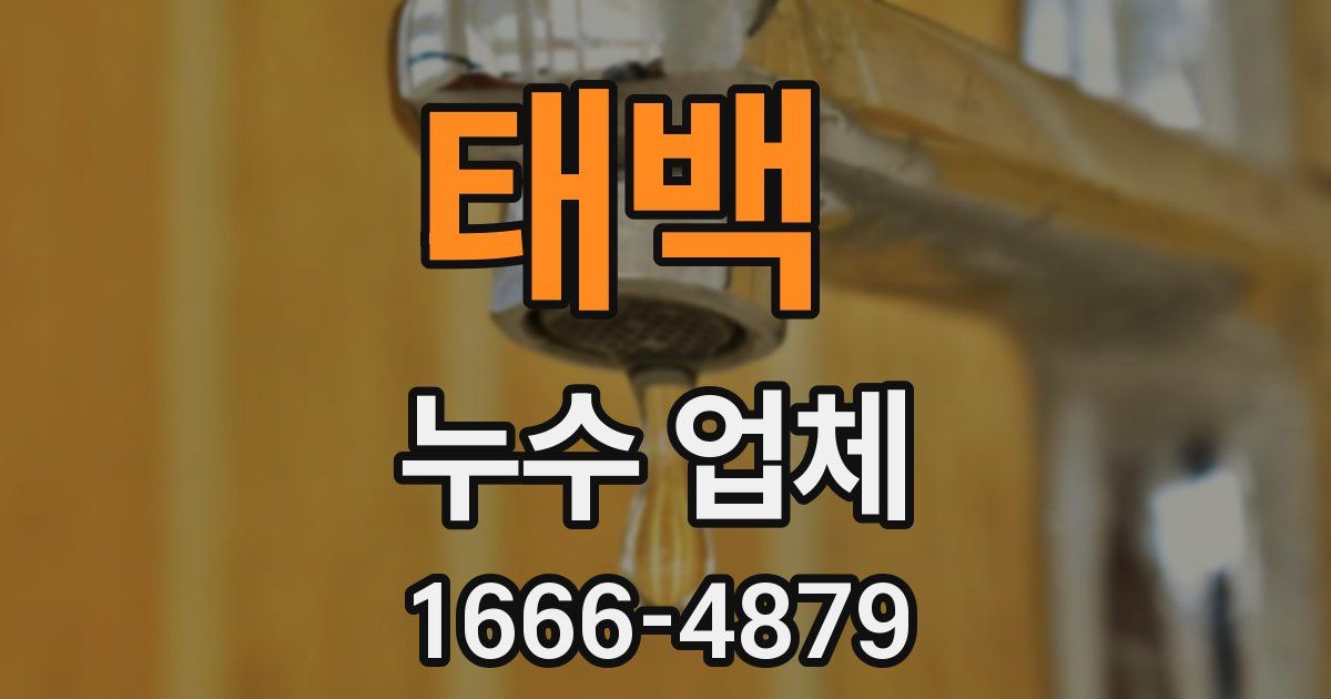 태백 누수 업체