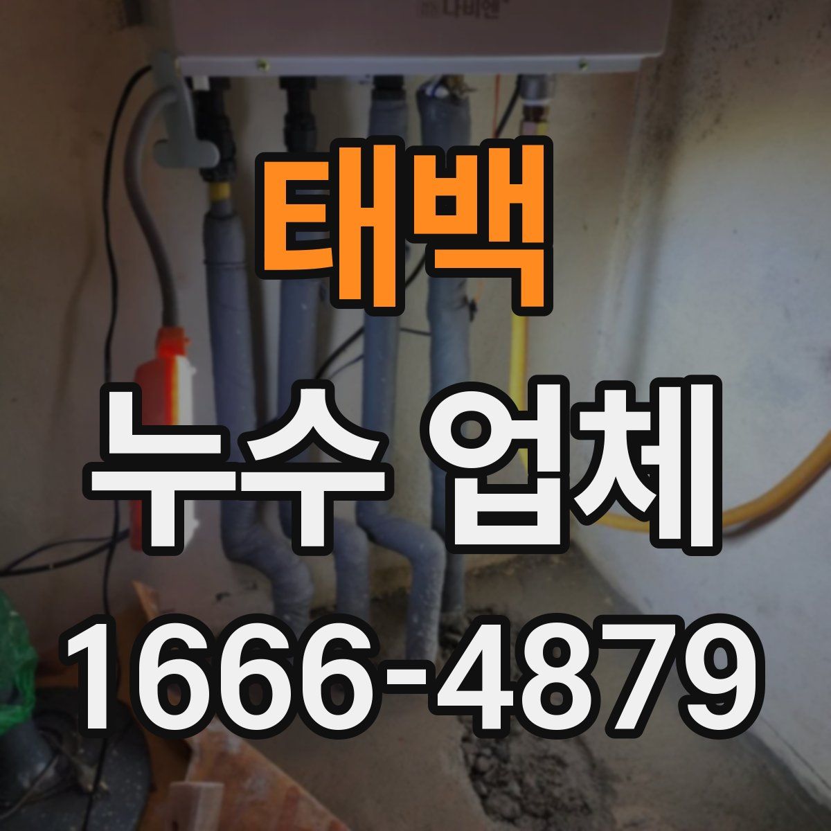 태백 누수 업체