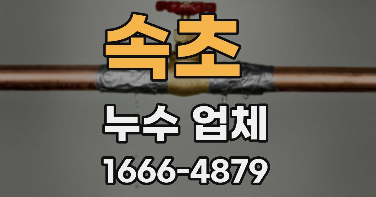 속초 누수 업체