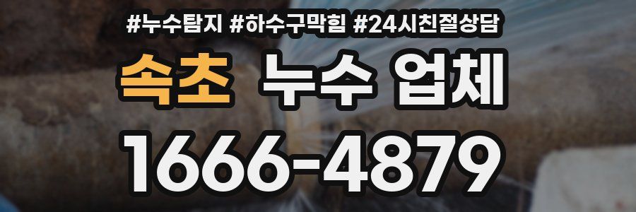 속초 누수 업체