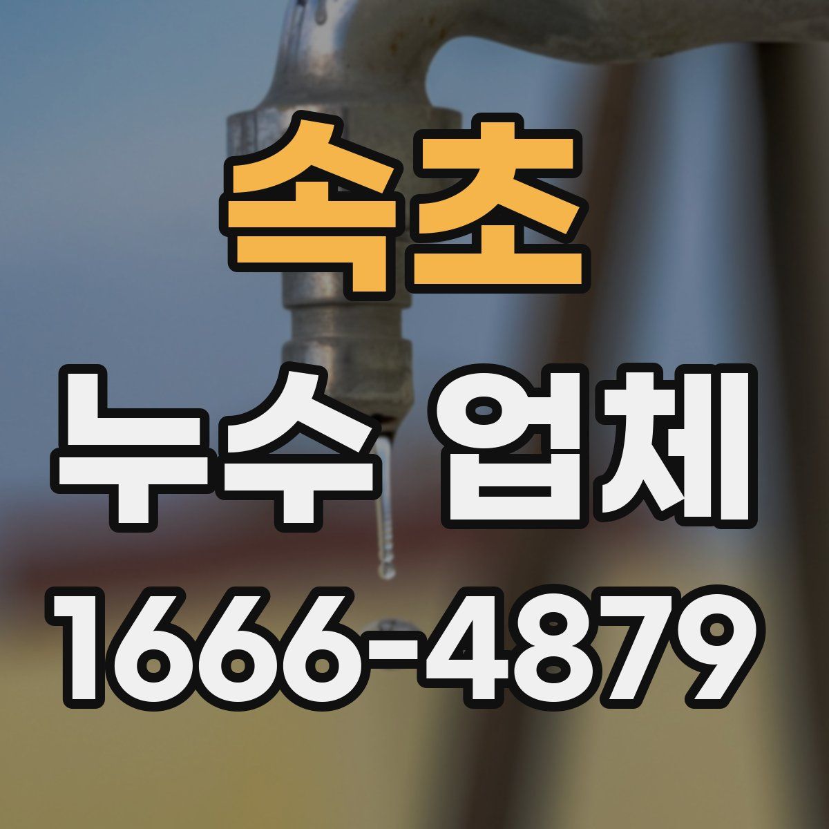 속초 누수 업체