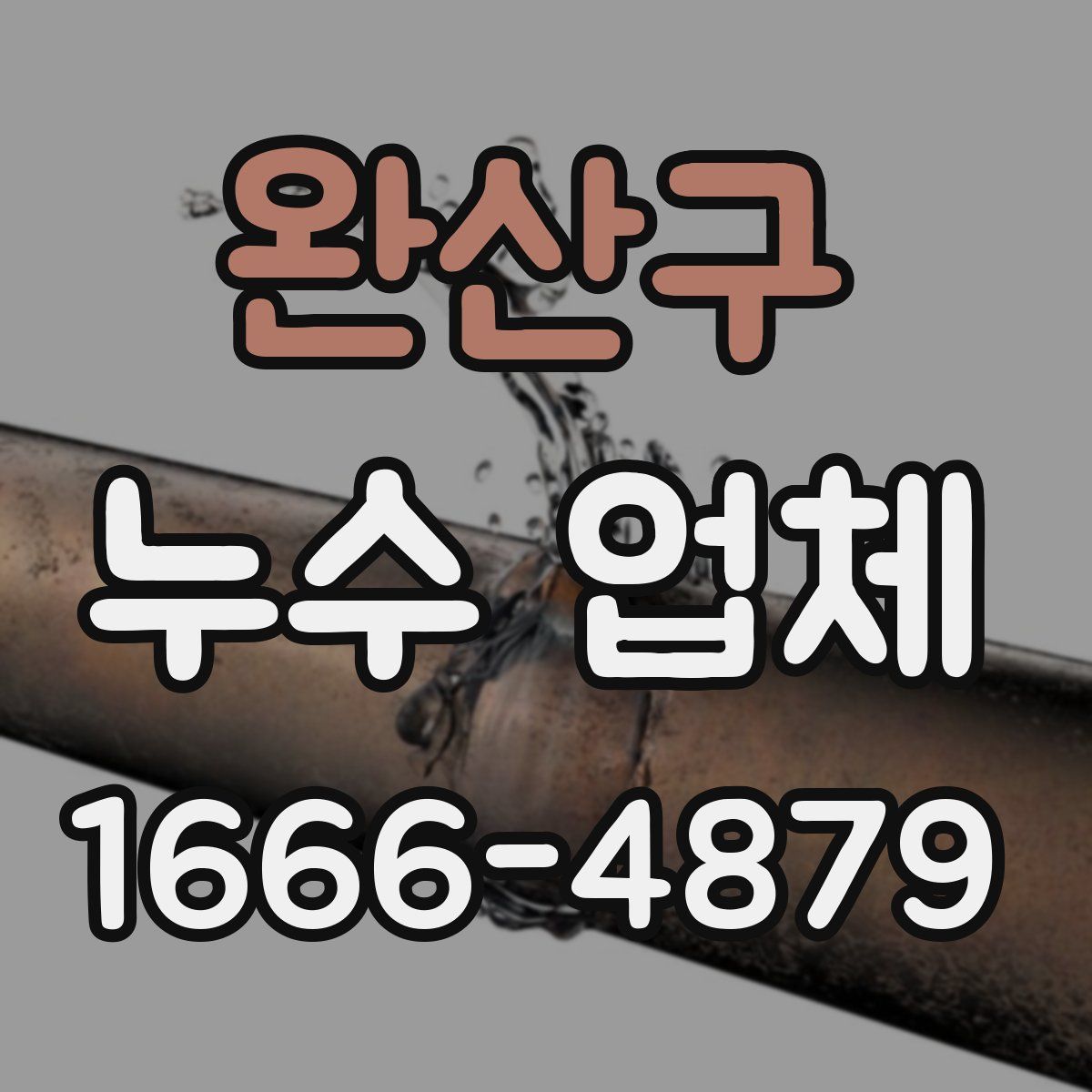 완산구 누수 업체