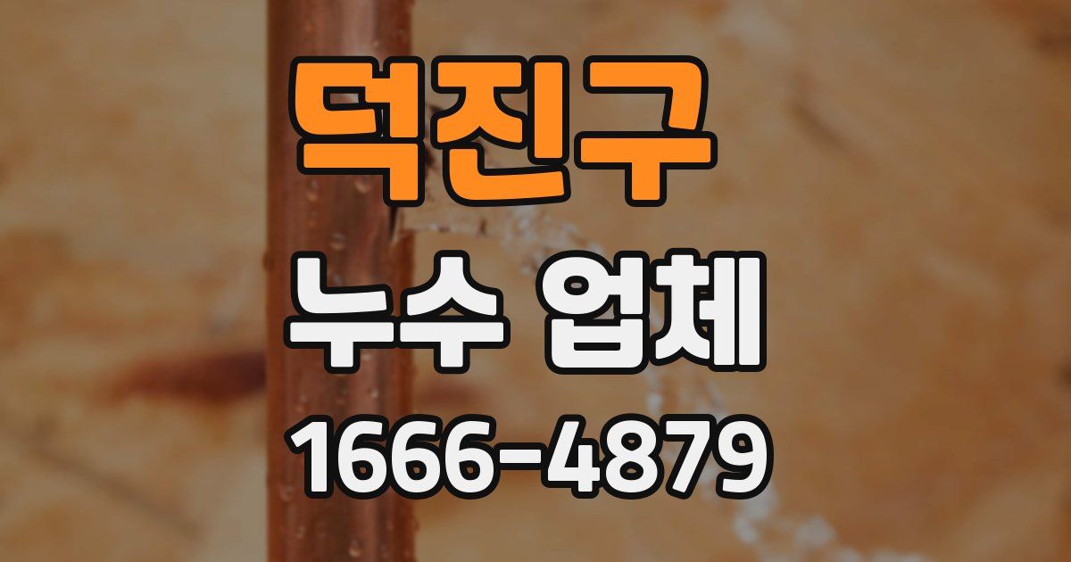 덕진구 누수 업체
