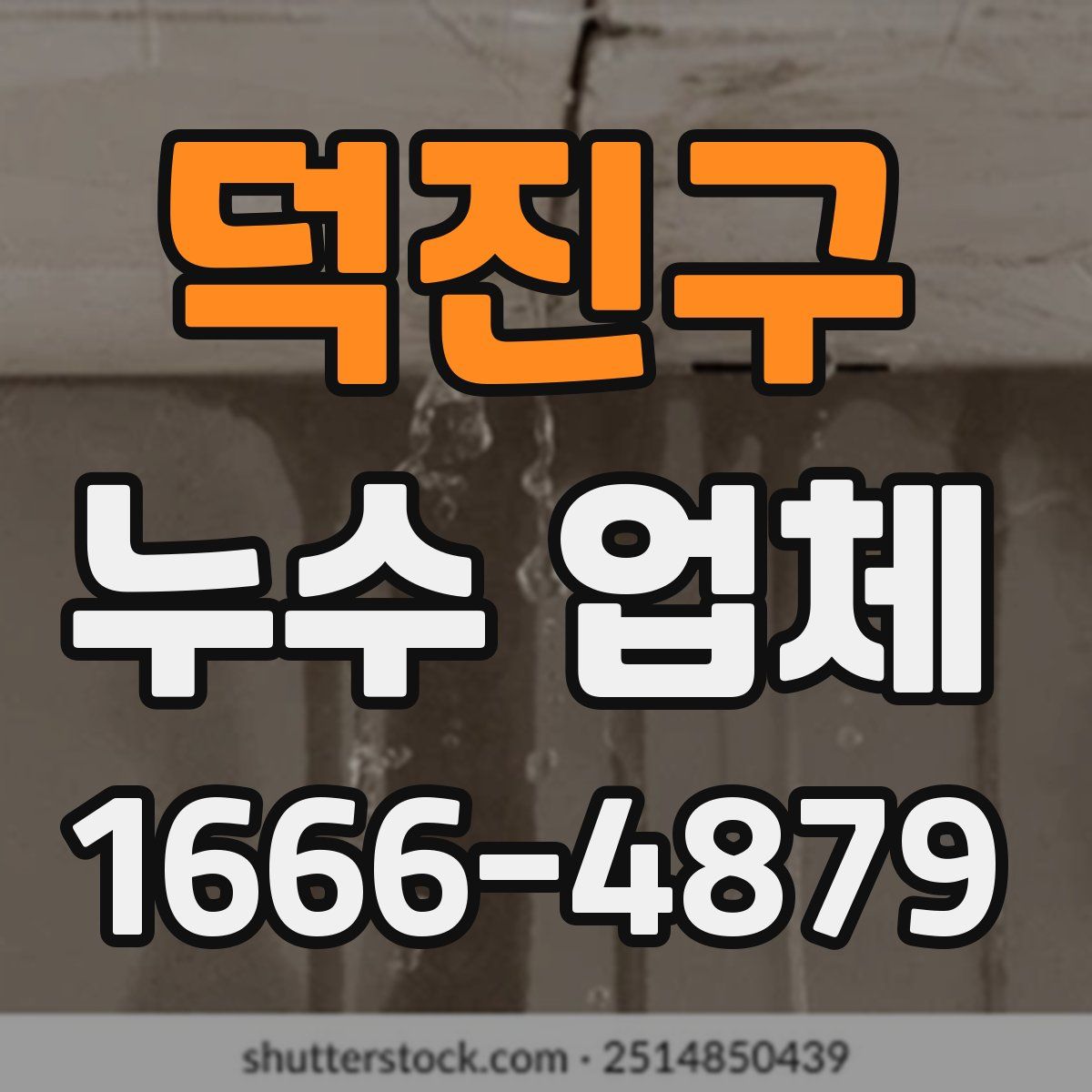 덕진구 누수 업체