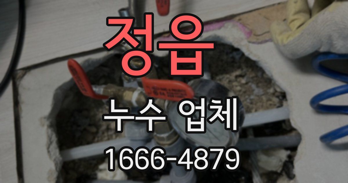 정읍 누수 업체