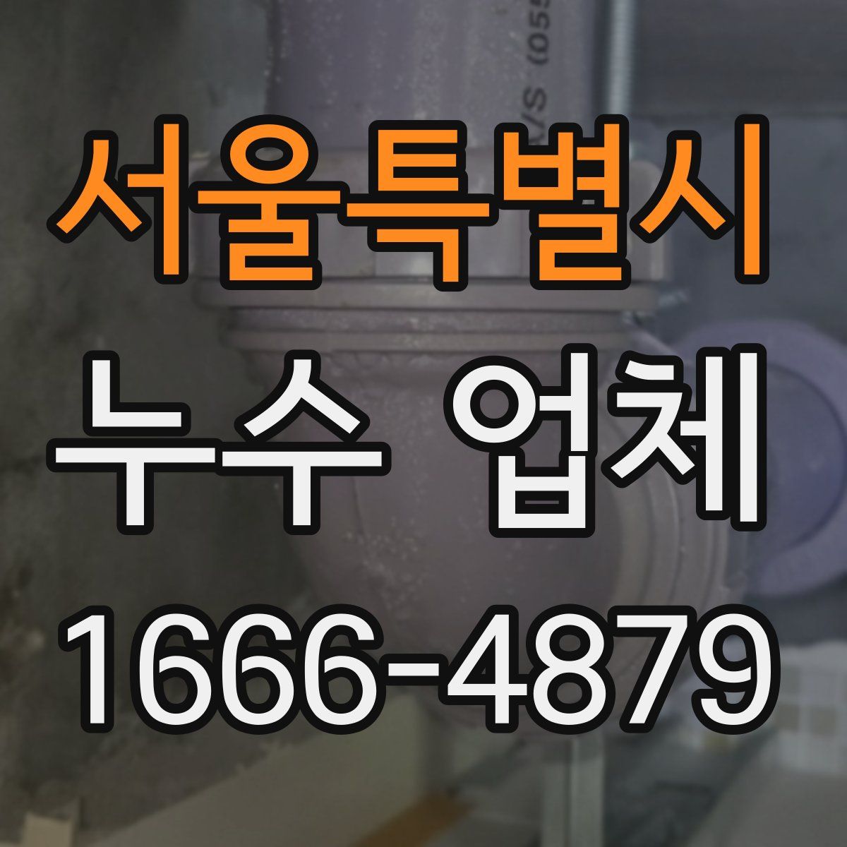 서울특별시 누수 업체