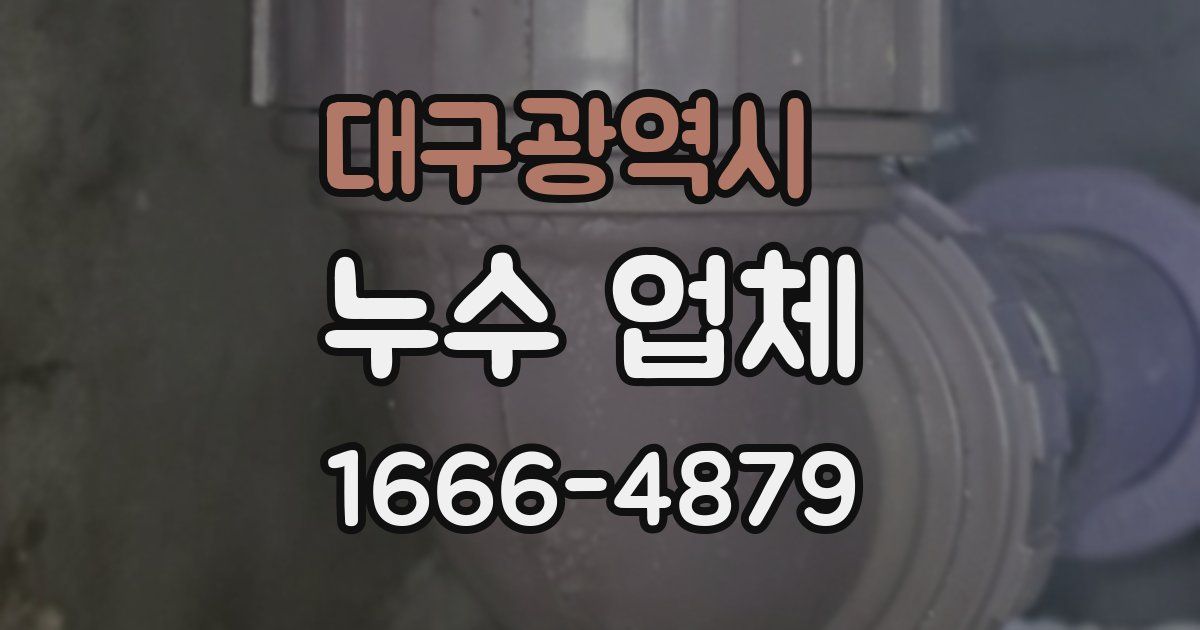 대구광역시 누수 업체