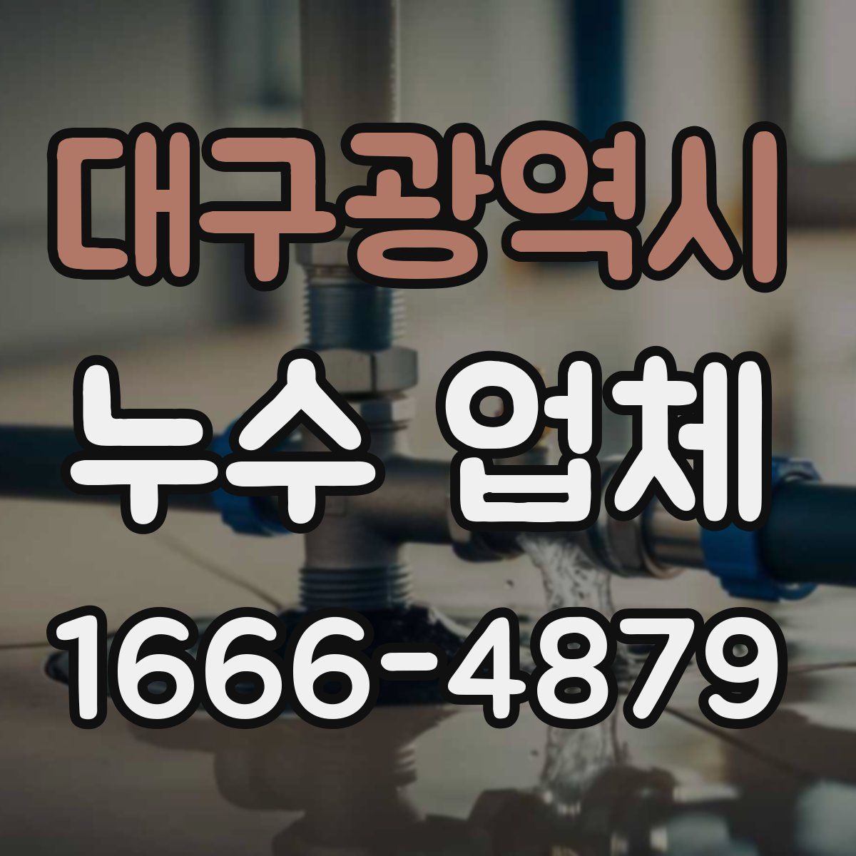 대구광역시 누수 업체