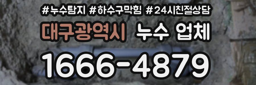 대구광역시 누수 업체