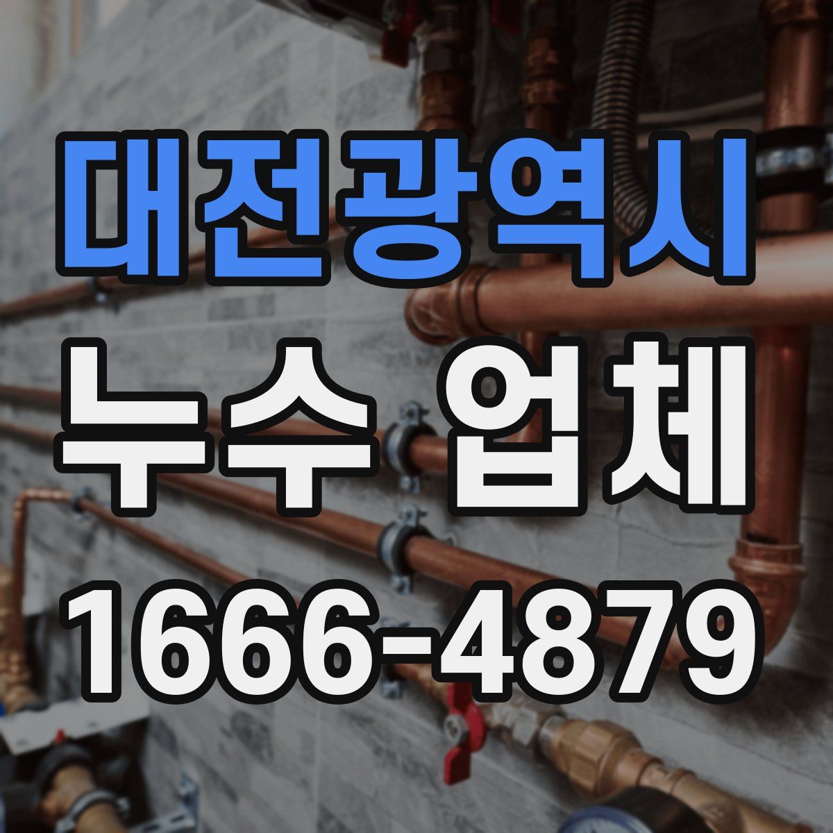 대전광역시 누수 업체