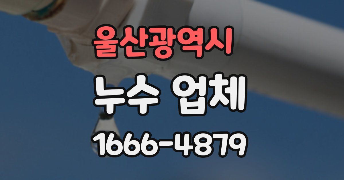 울산광역시 누수 업체