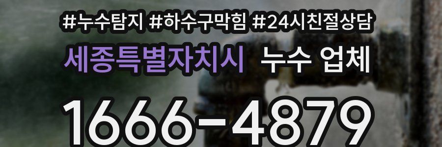 세종특별자치시 누수 업체