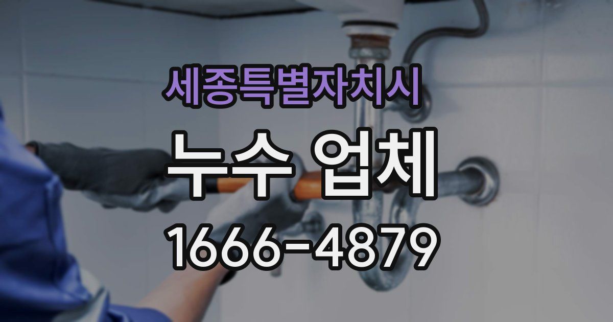 세종특별자치시 누수 업체