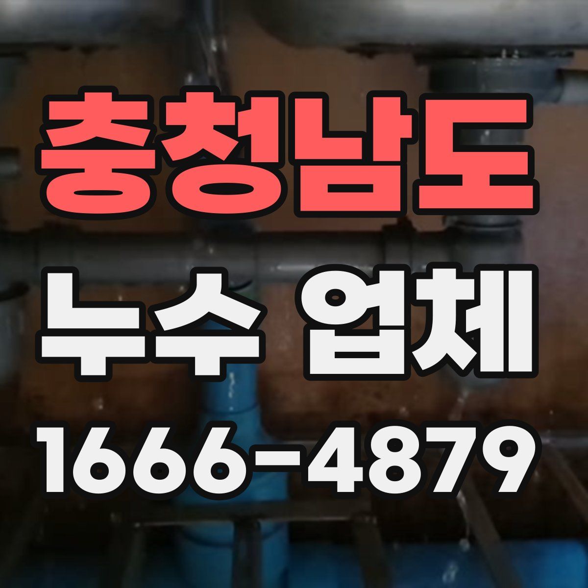충청남도 누수 업체