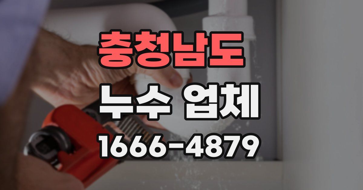 충청남도 누수 업체