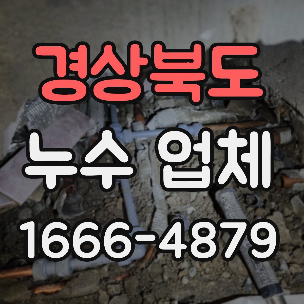 경상북도 누수 업체