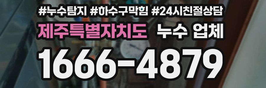 제주특별자치도 누수 업체