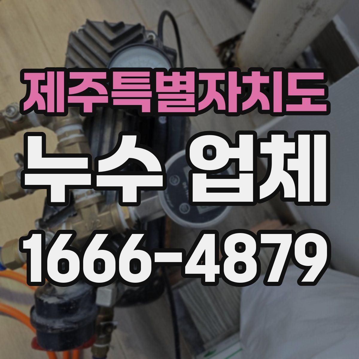 제주특별자치도 누수 업체