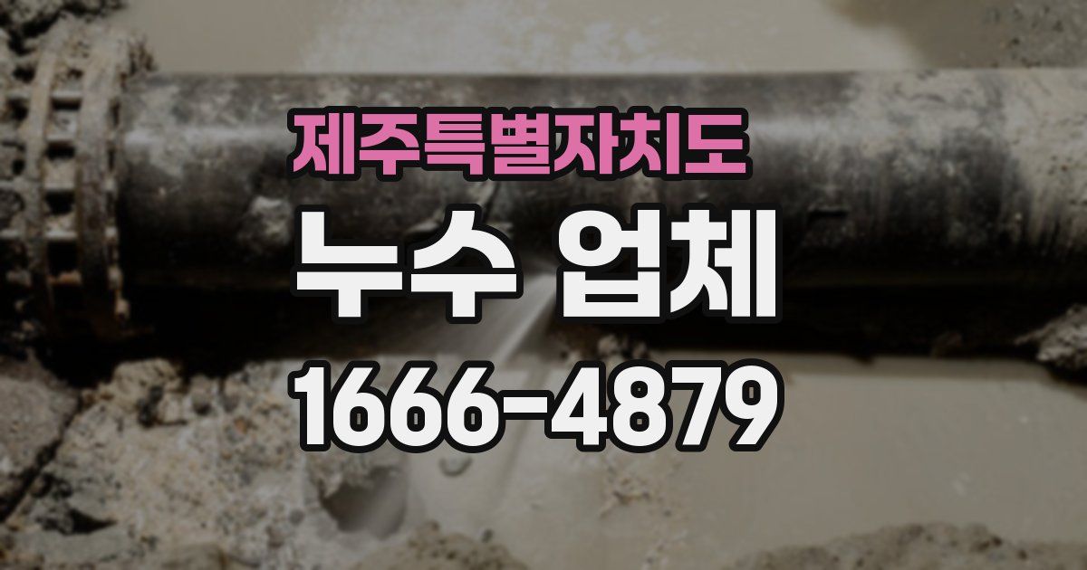 제주특별자치도 누수 업체