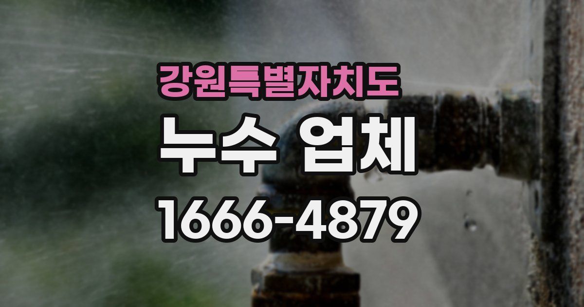 강원특별자치도 누수 업체