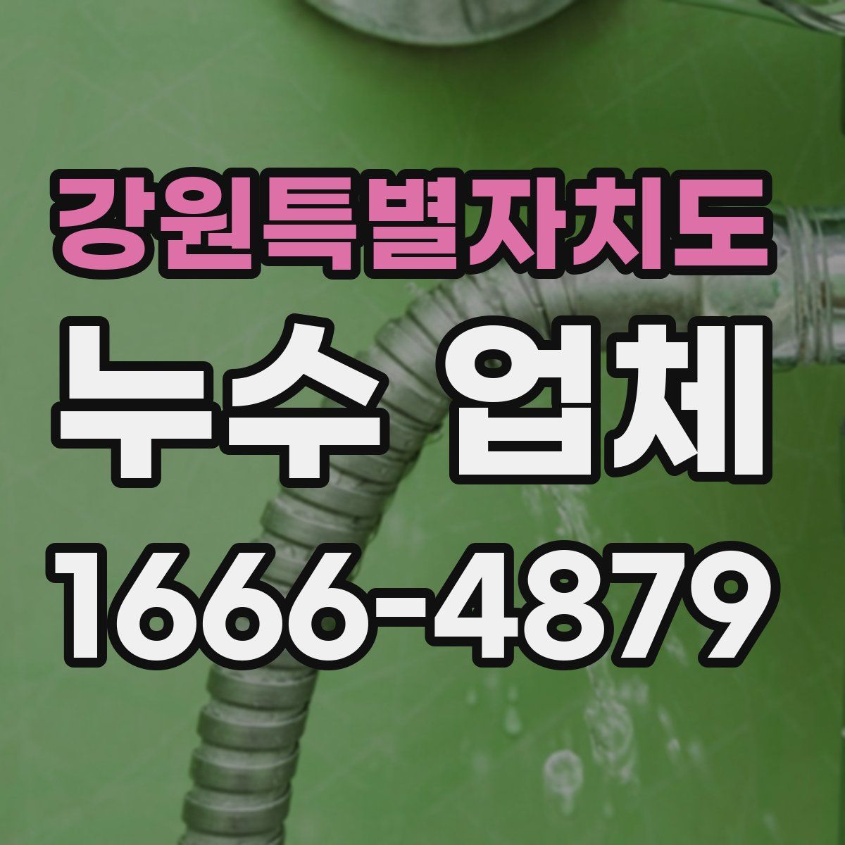 강원특별자치도 누수 업체