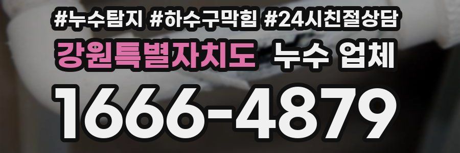 강원특별자치도 누수 업체
