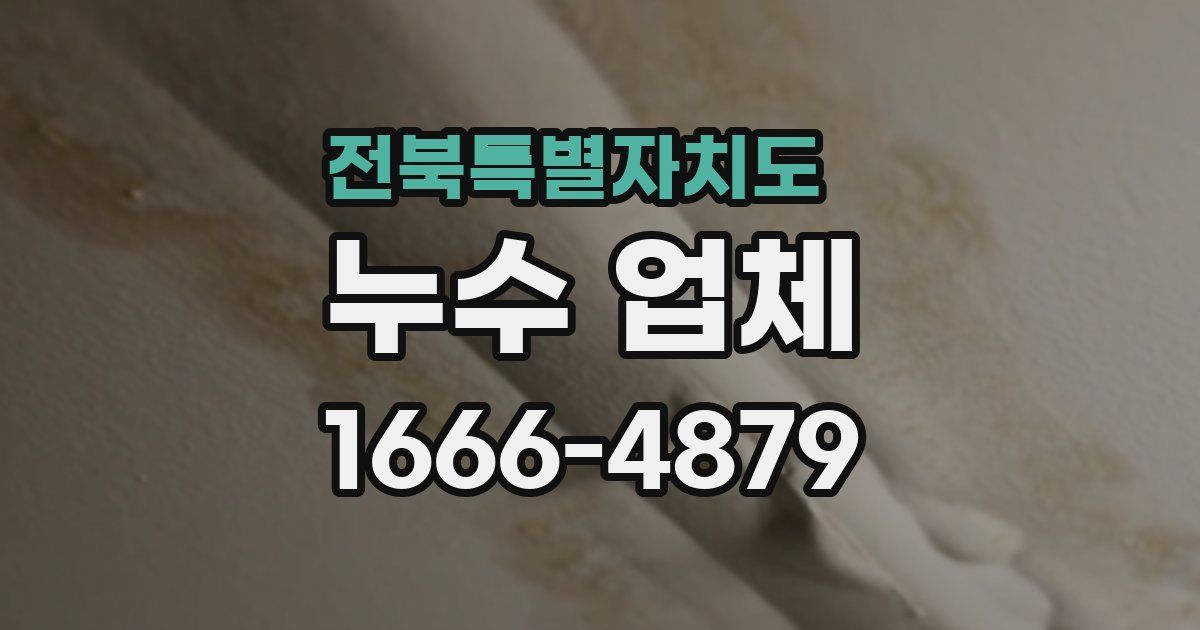 전북특별자치도 누수 업체