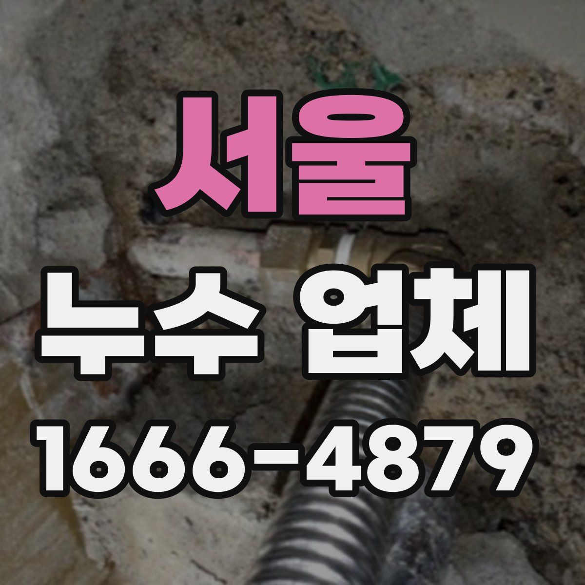 서울 누수 업체