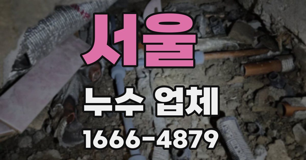 서울 누수 업체