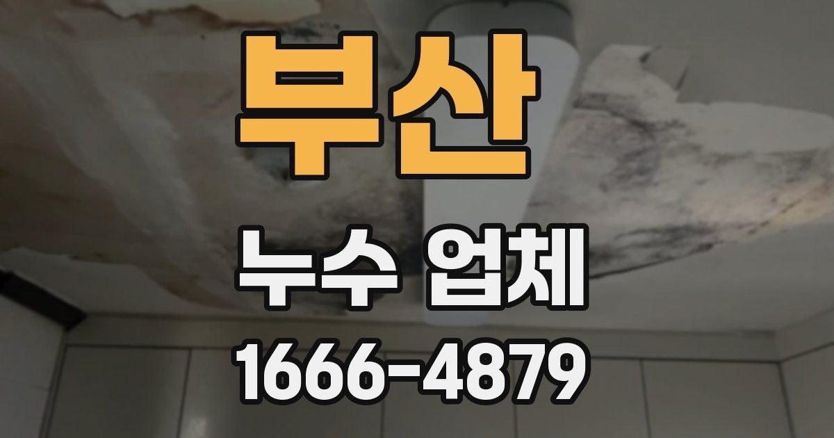 부산 누수 업체