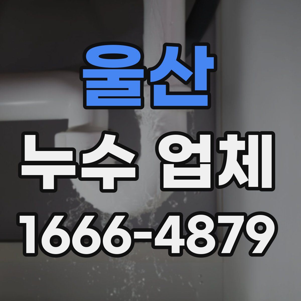 울산 누수 업체