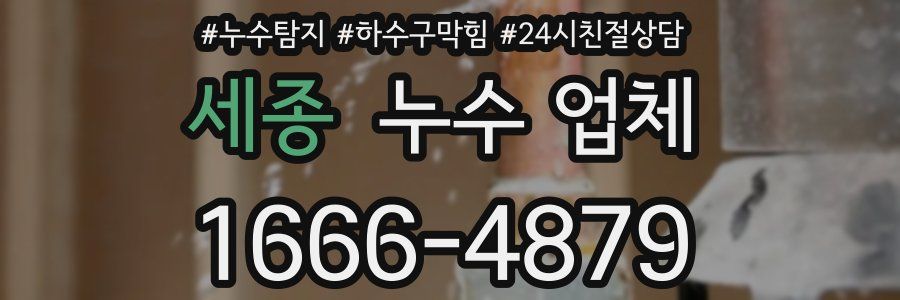 세종 누수 업체