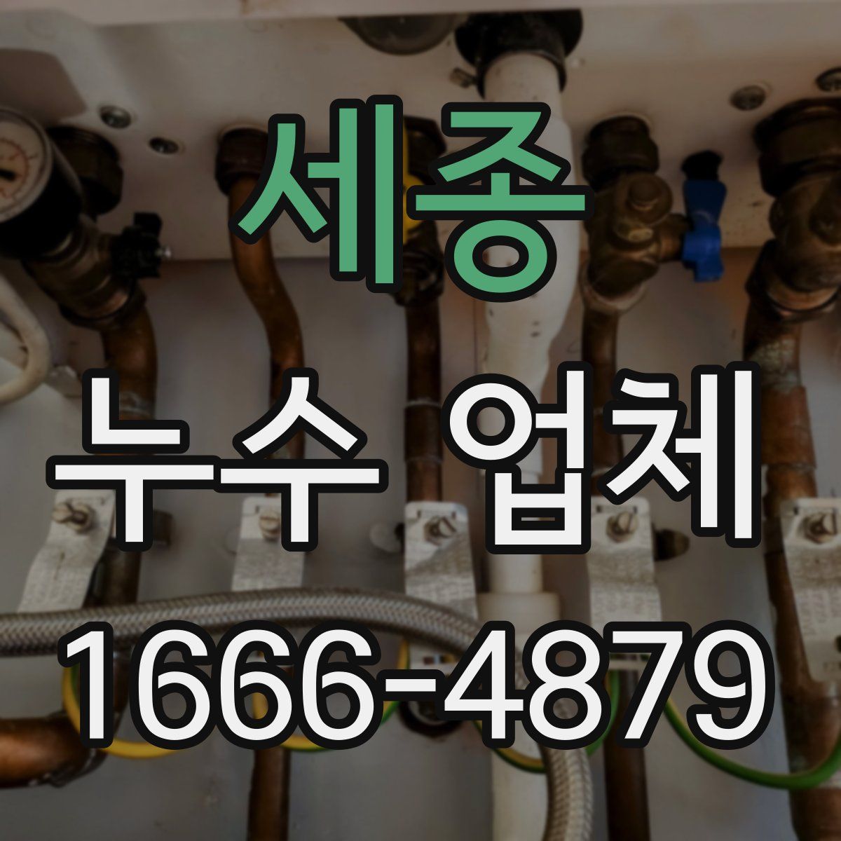 세종 누수 업체