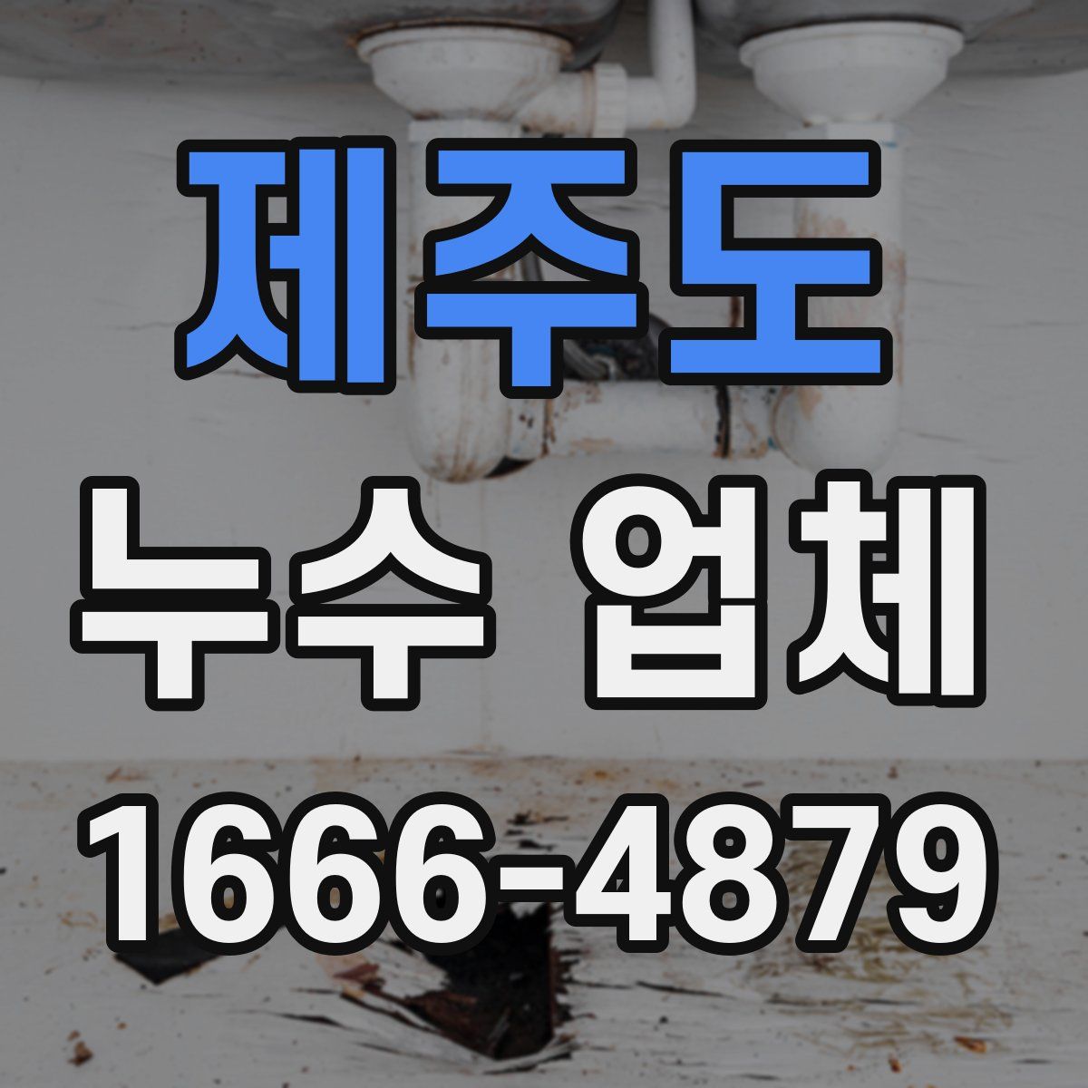 제주도 누수 업체