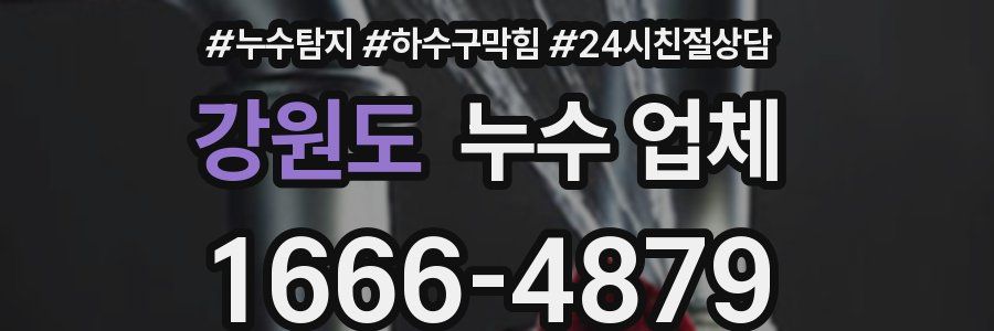 강원도 누수 업체