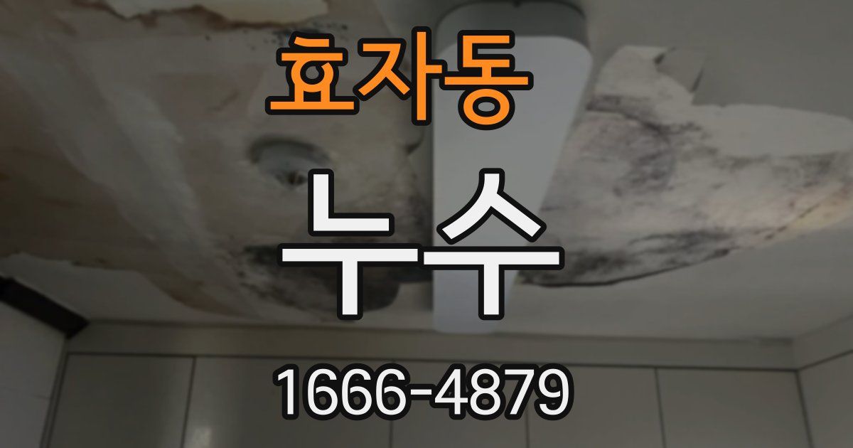 효자동 누수
