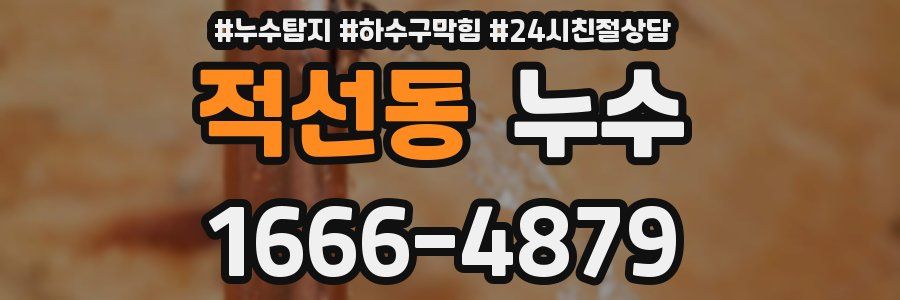 적선동 누수