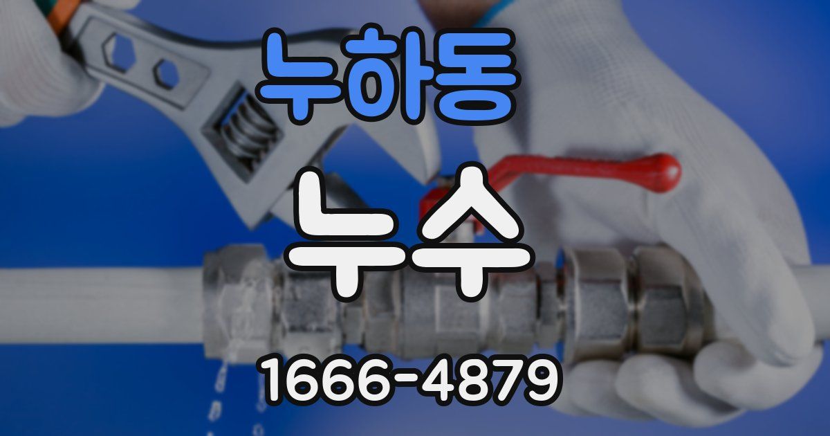 누하동 누수