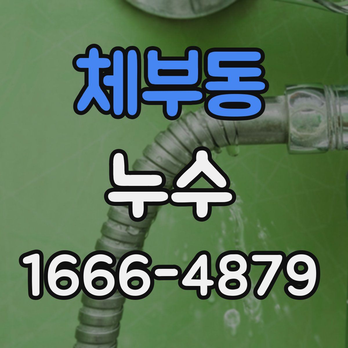 체부동 누수