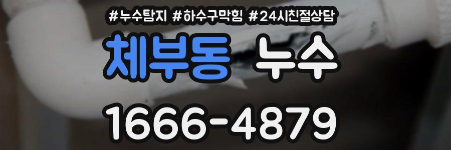 체부동 누수