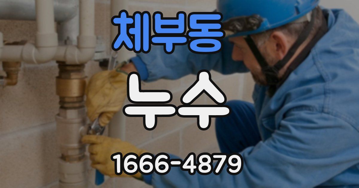 체부동 누수