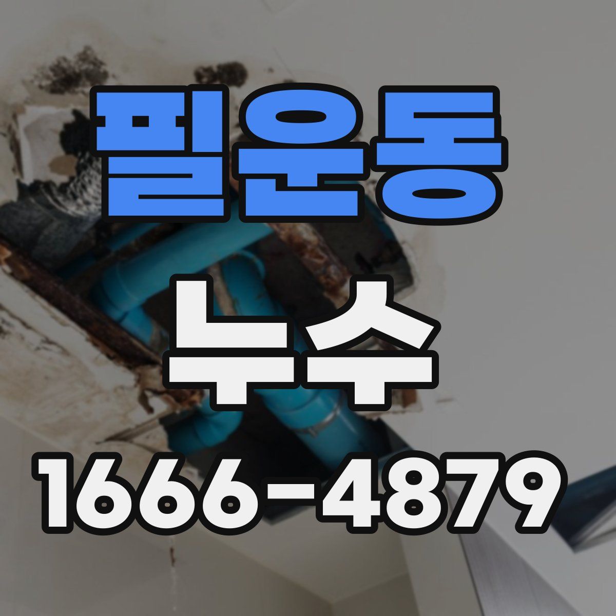 필운동 누수